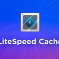 LiteSpeed Cache: A Practical Guide to WordPress Speed & Performance