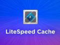 LiteSpeed Cache: A Practical Guide to WordPress Speed & Performance