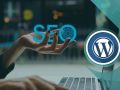 WordPress SEO Guide 2024: Essential Steps for Better Rankings